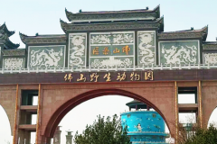 来永年佛山野生动物园，与正大制管一起 赴自然之约 寻找山野童趣