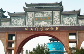 来永年佛山野生动物园，与正大制管一起 赴自然之约 寻找山野童趣